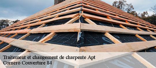 Traitement et changement de charpente