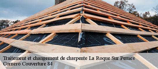 Traitement et changement de charpente